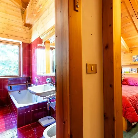 Allegra 2 Tofane Monuntains View Apartment